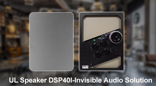 Спикер UL DSP40I-Invisible Аудио решение для дома