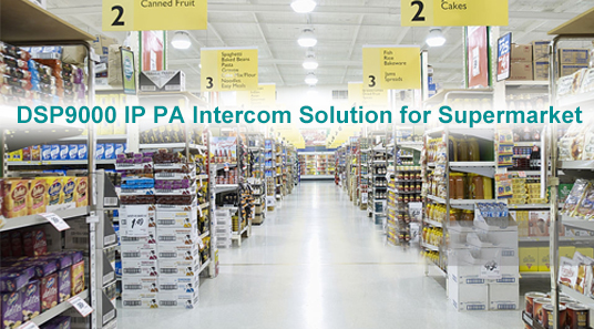 DSP9000 IP сети PA Домофон решение для супермаркета