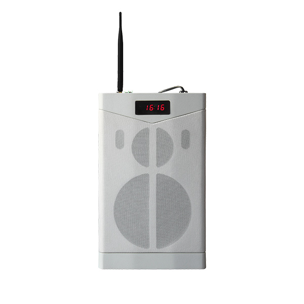 MAG6363G сети Bluetooth Обучение спикер с 2,4G беспроводной микрофон