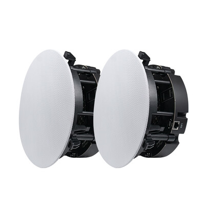DW2235 6,5-дюймовые 2-полосные стерео потолочные колонки WiFi и Bluetooth