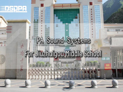 DSPPA | Звуковая система PA для школьной игровой площадки